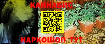 бутират Кингисепп