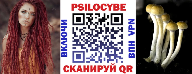 Псилоцибиновые грибы Psilocybine cubensis Самара