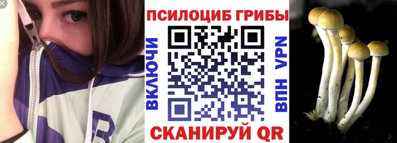 Галлюциногенные грибы мицелий  Самара 