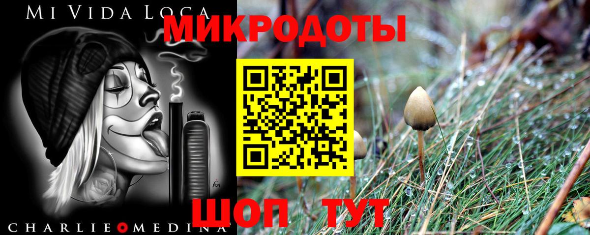Самара  Псилоцибиновые грибы мицелий  где продают   Вход с VPN 